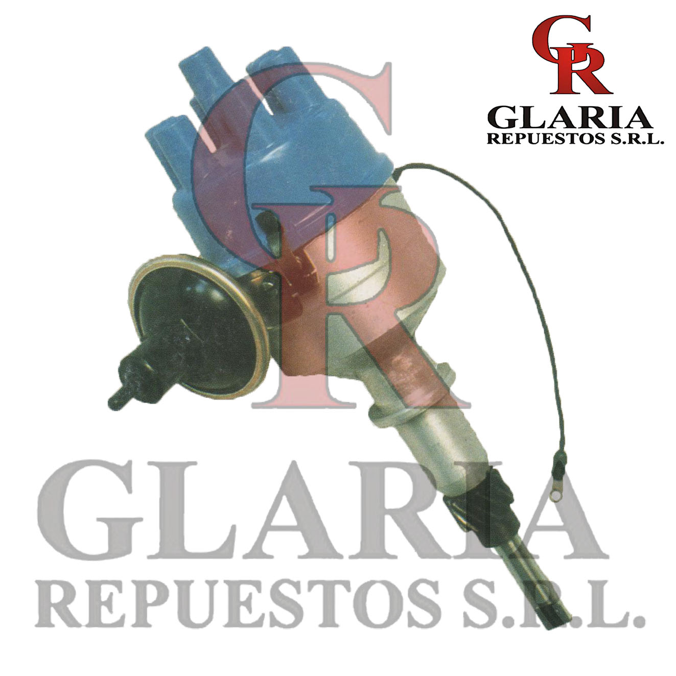Product Images