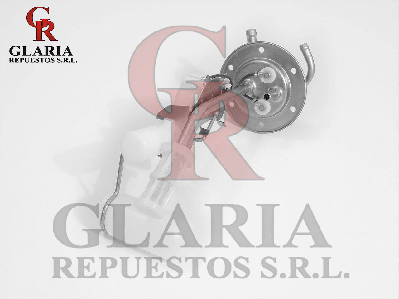 Product Images