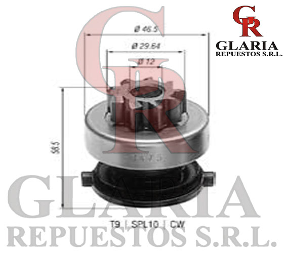 Product Images